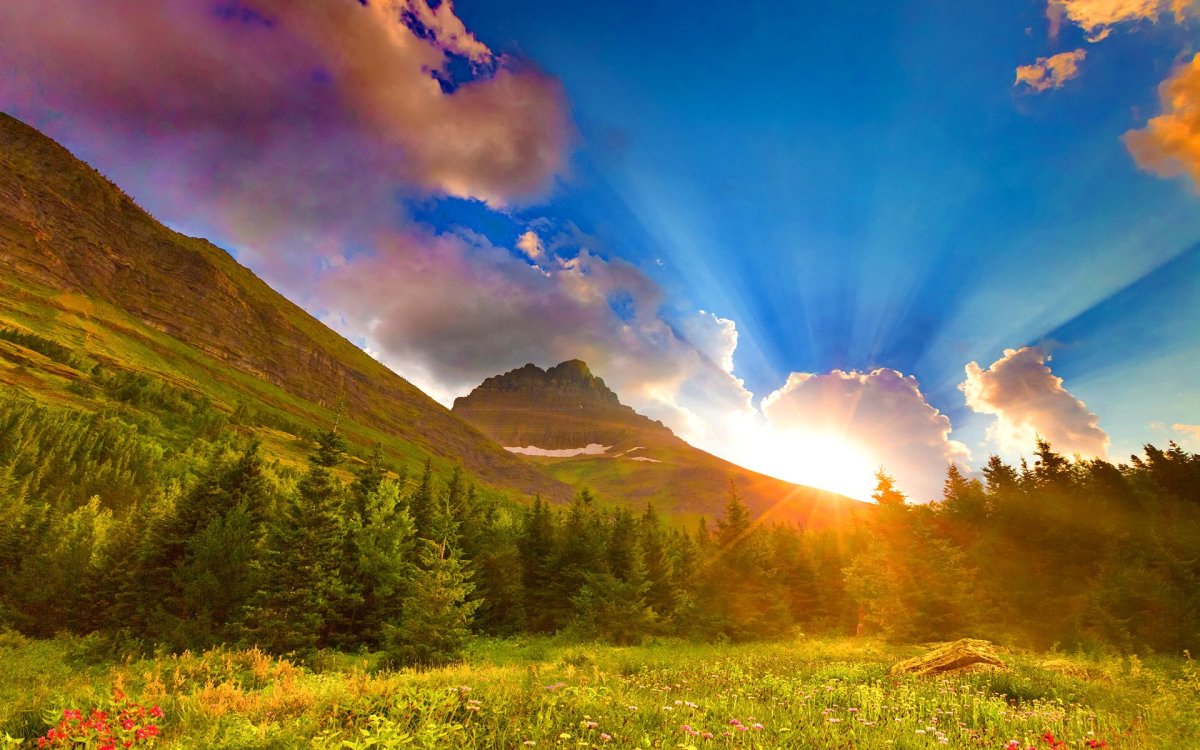 Ручей лес доброе утро