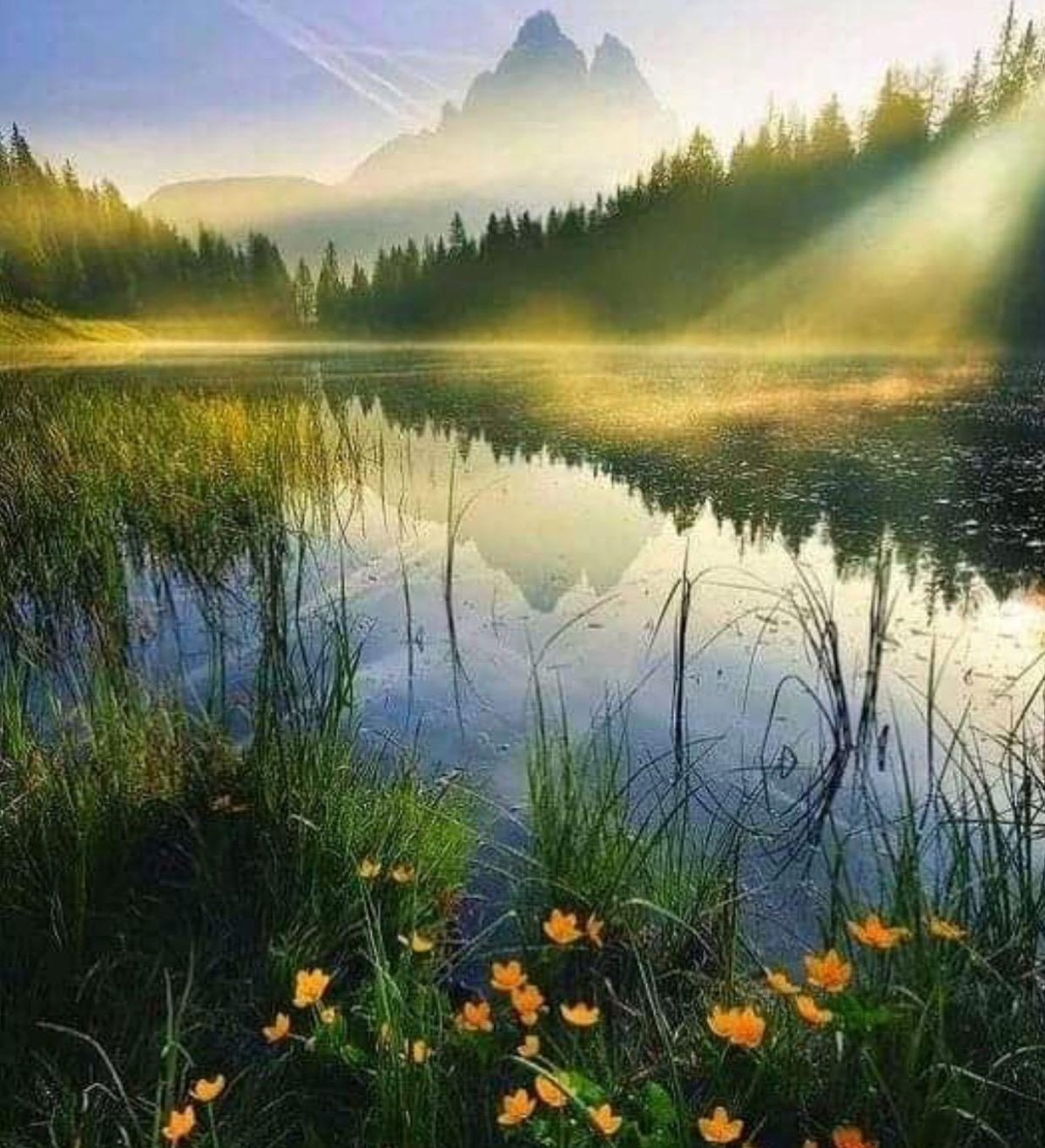 Утренняя природа