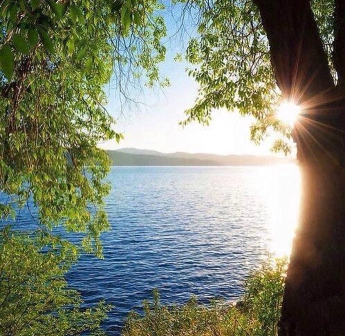 Альпийские Луга Швейцария деревня озеро рассвет