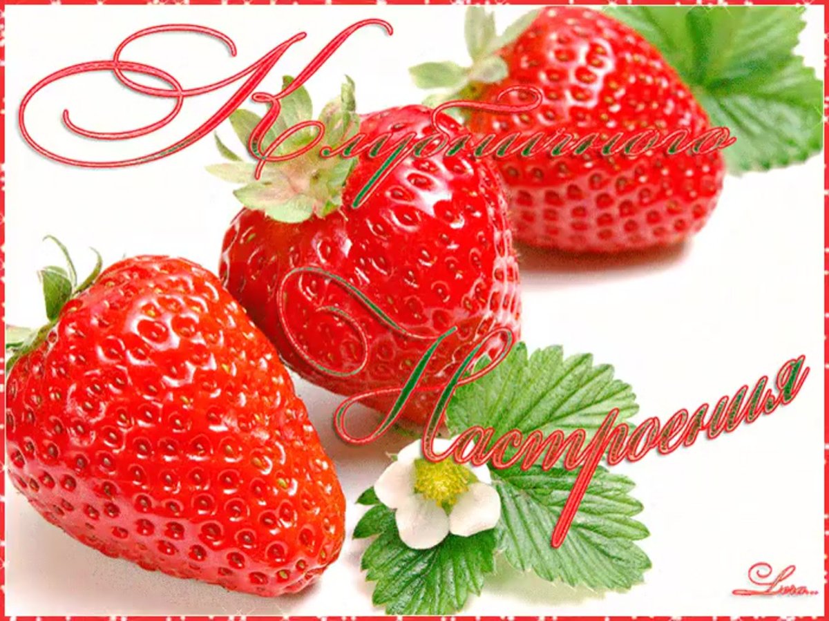 Девушка с клубникой