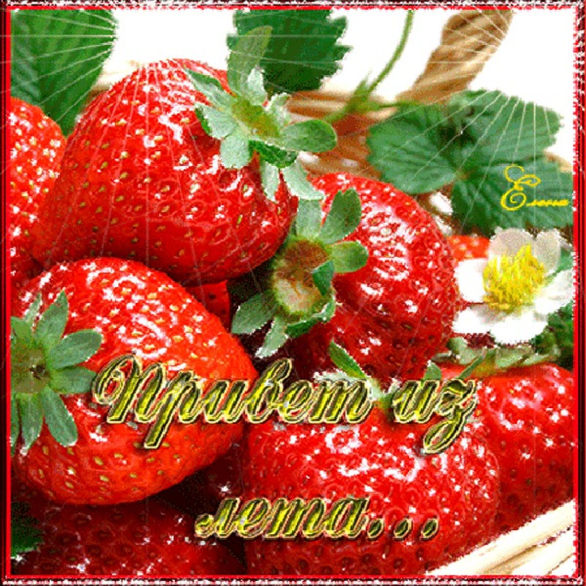 Клубника сердечко
