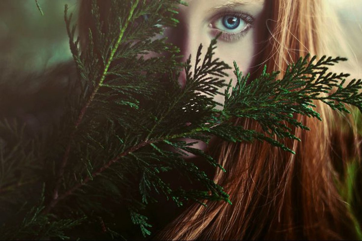 Лесная ведьма Эстетика