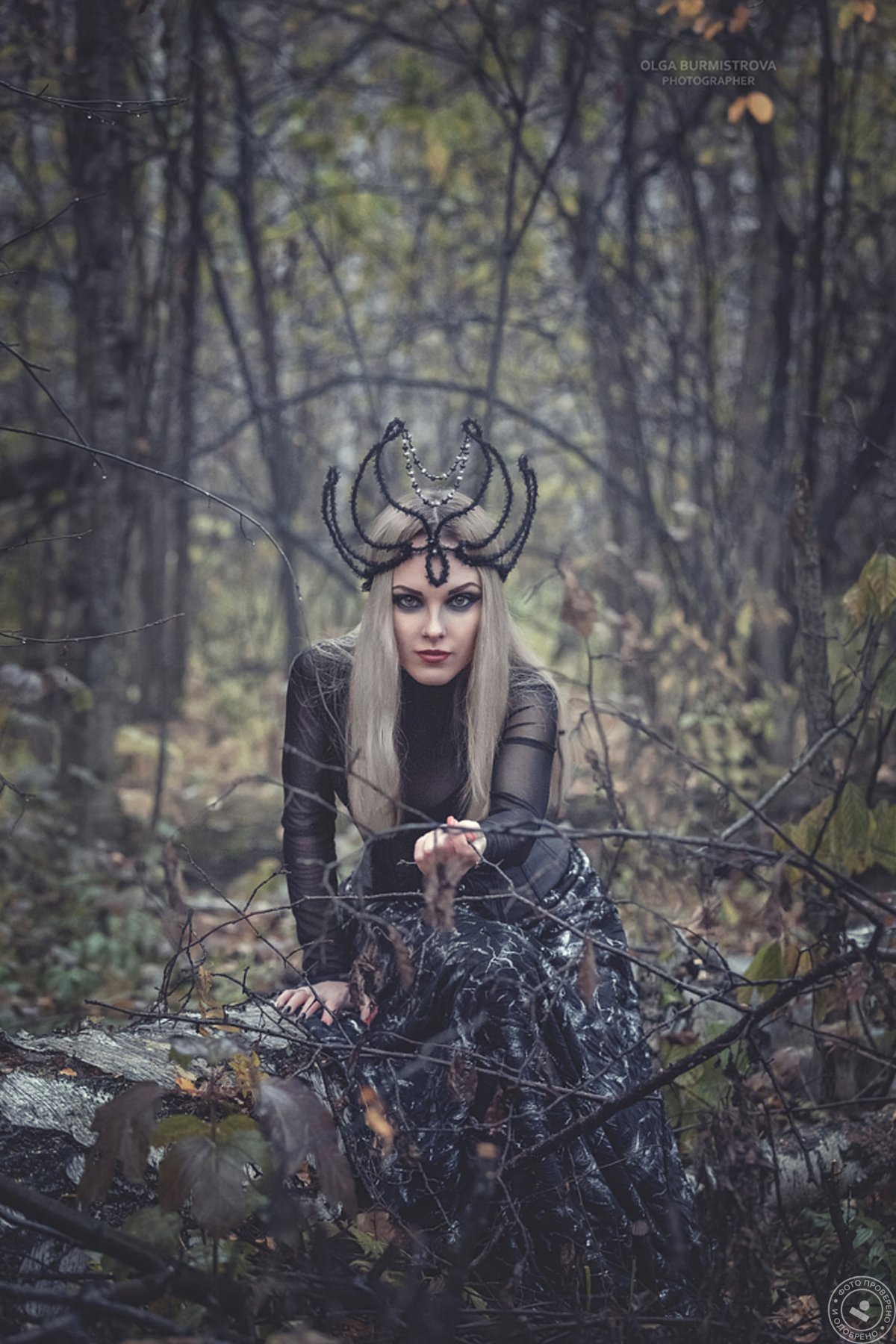 Образ ведьмы