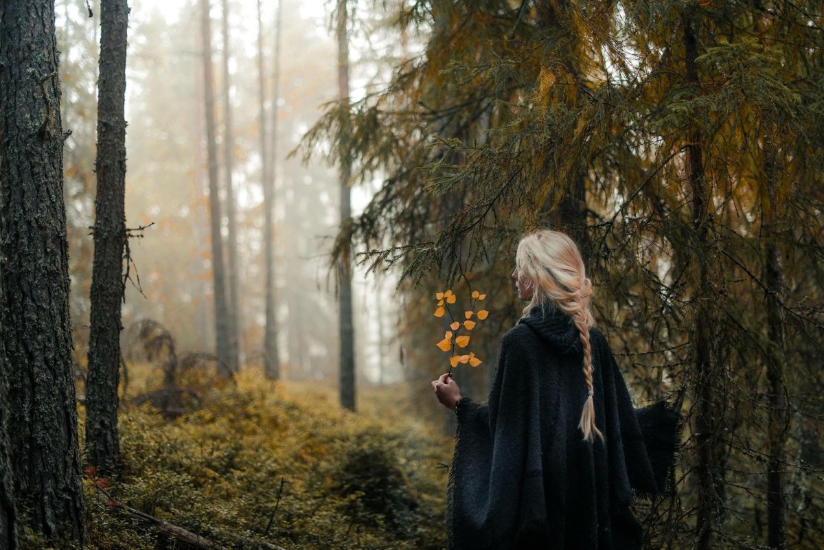 Jonna Jinton фотографии лес