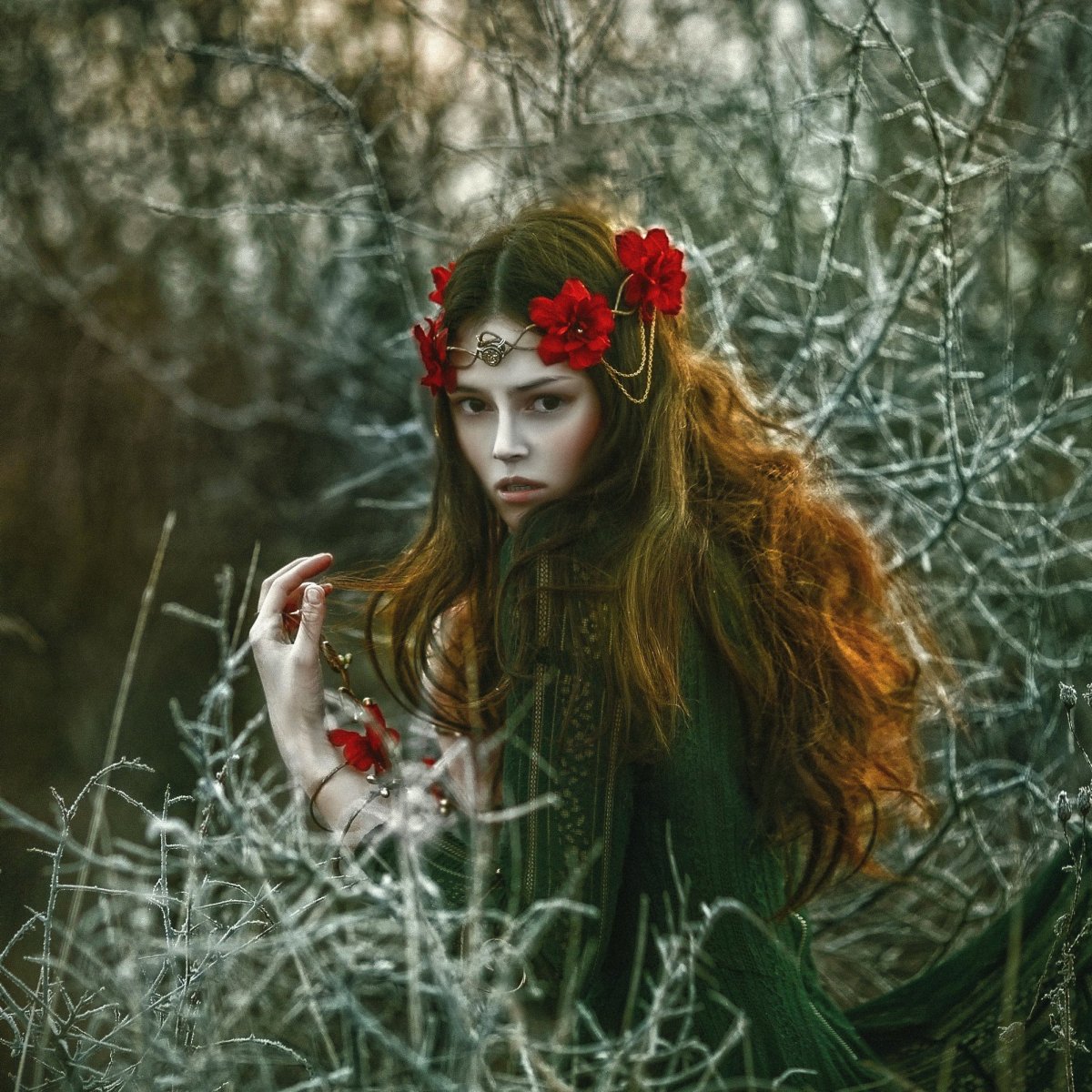 Agnieszka Lorek эльфы