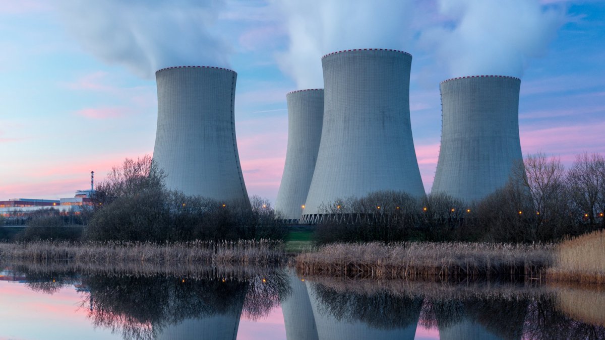 Nuclear Electric Power