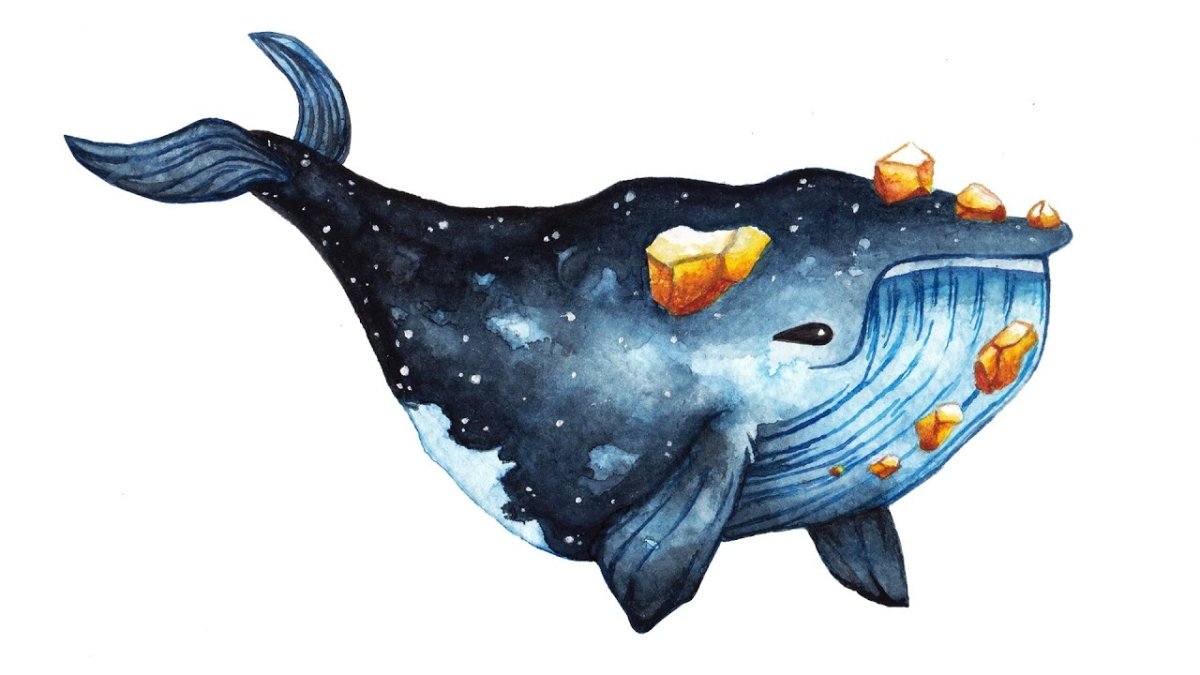 Кит и маленькая рыбка