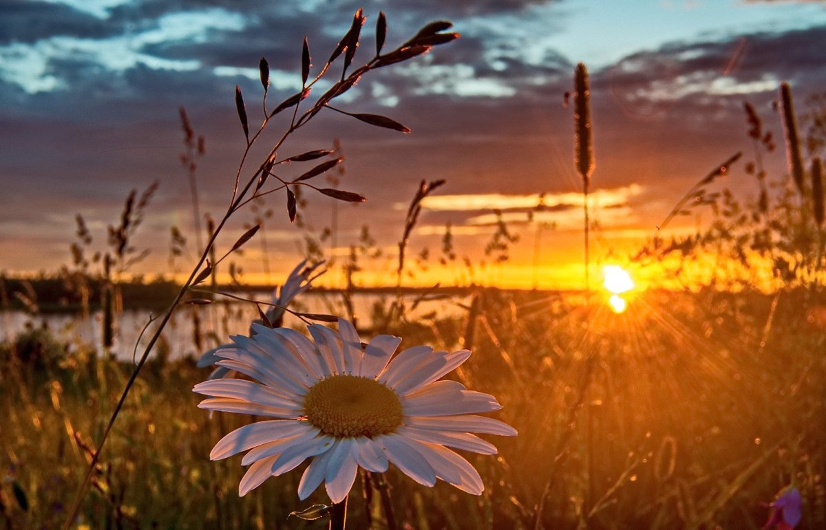 Рассвет на озере