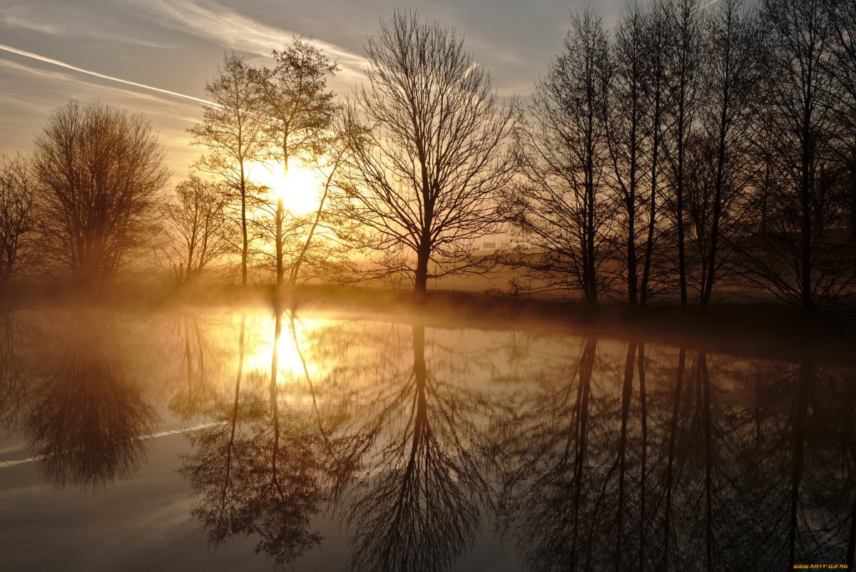 Кофе солнце