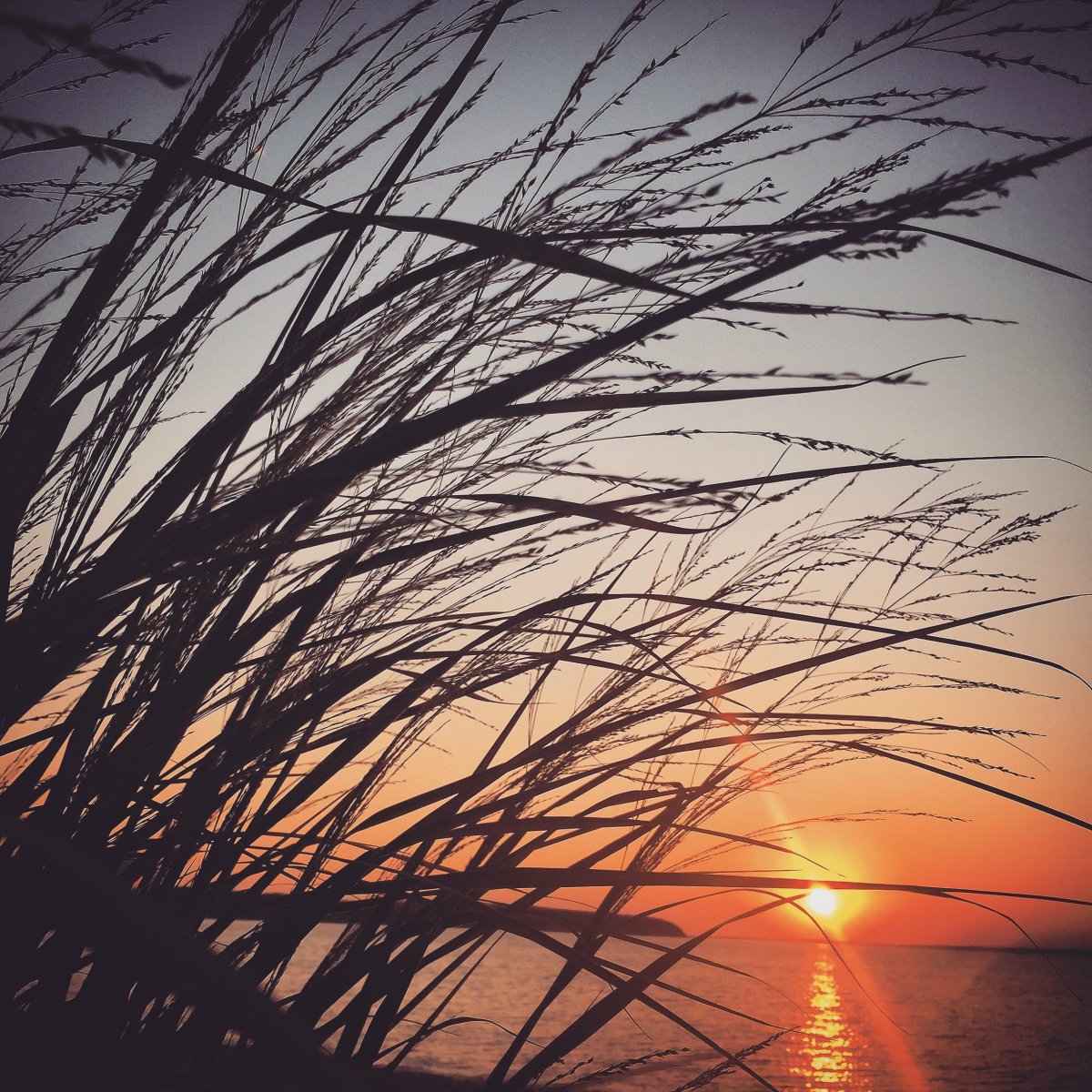 Бежевый закат