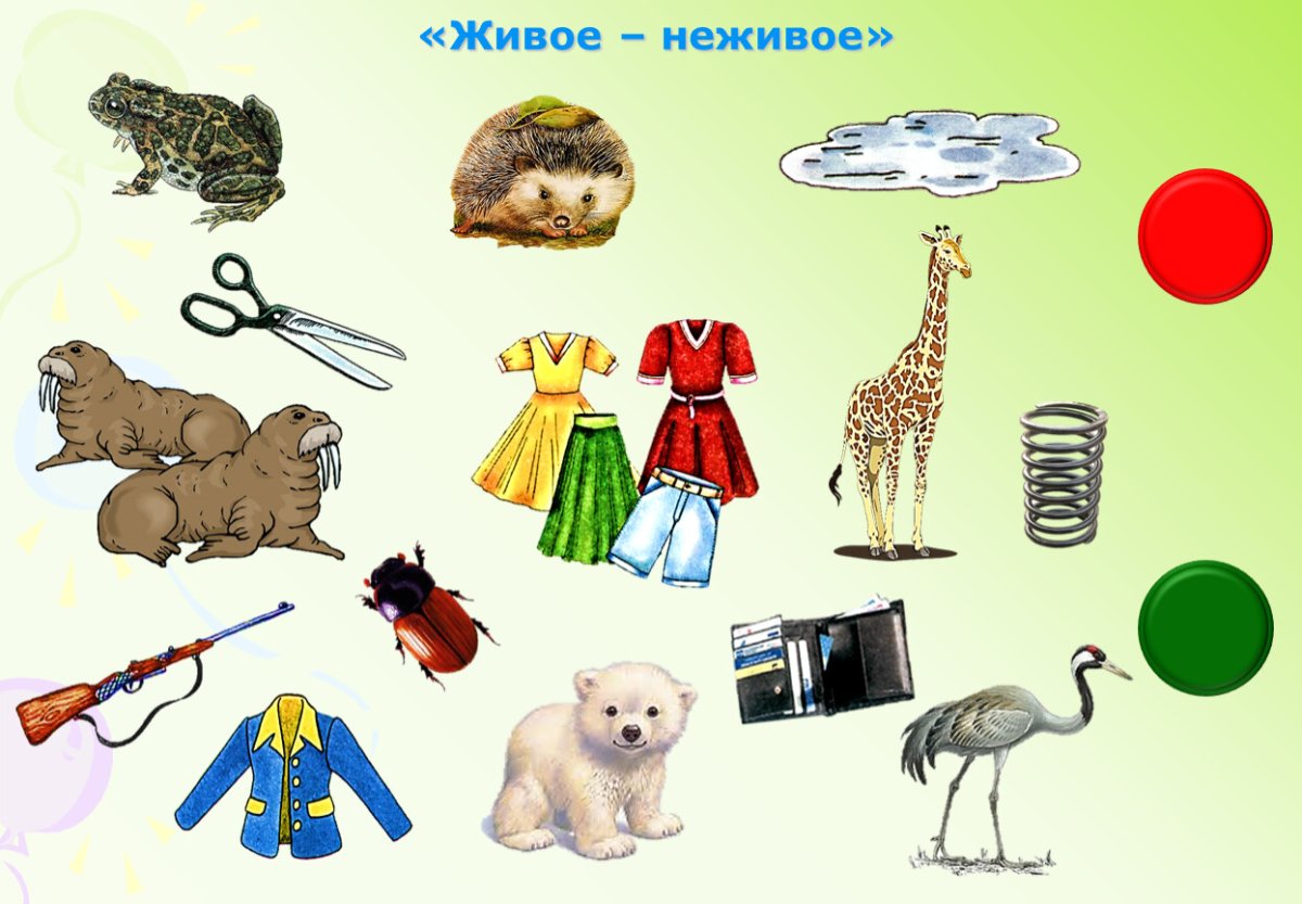 Автоматизация звука ж