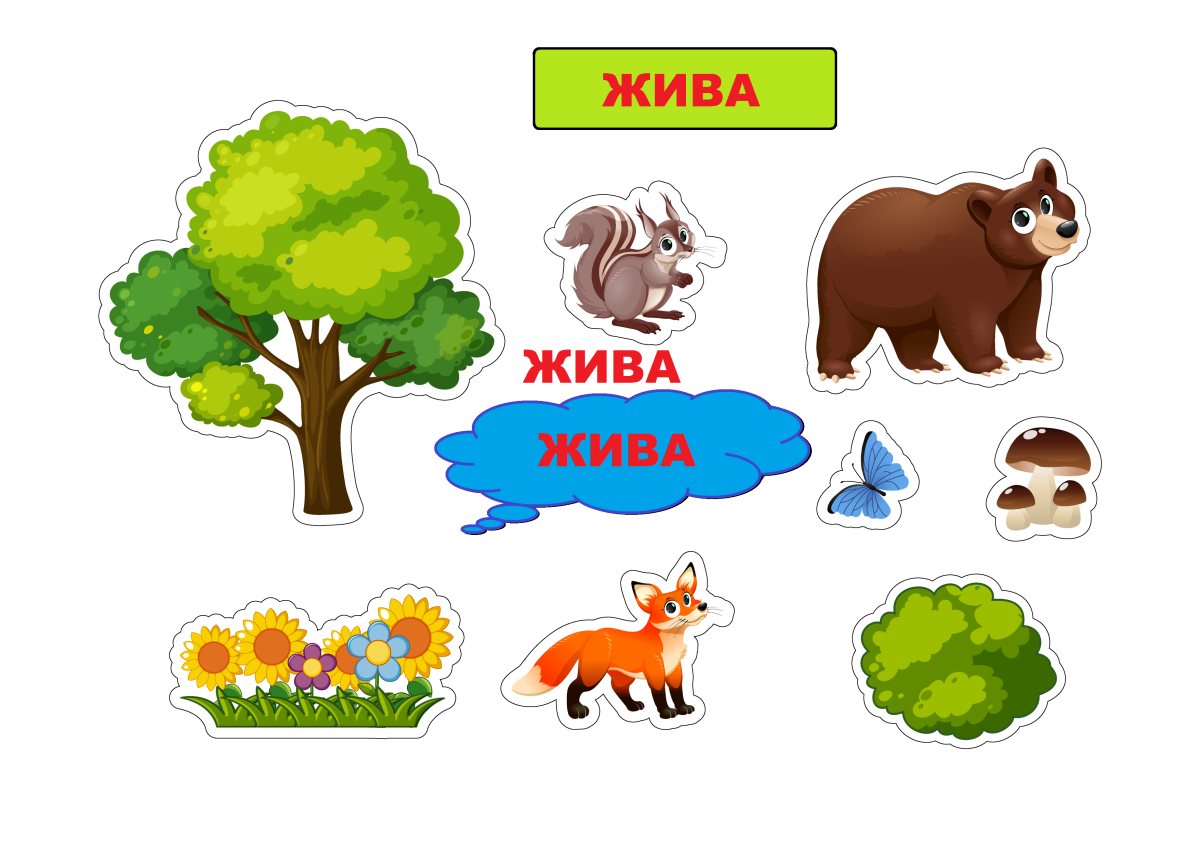 Живое неживое для детей