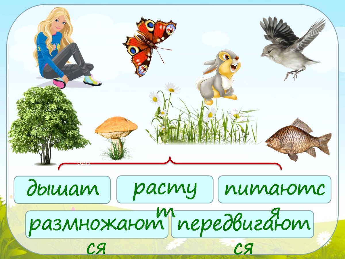 Автоматизация звука з задания