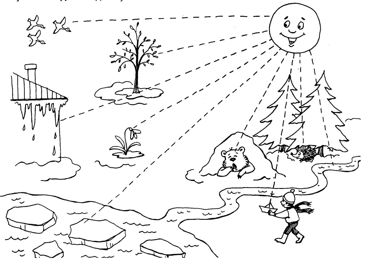 Живая и неживая природа задания для дошкольников