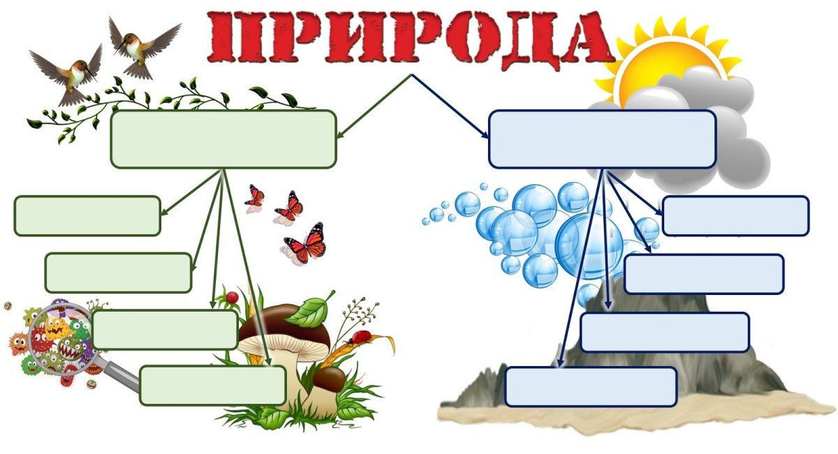 Природные и рукотворные предметы