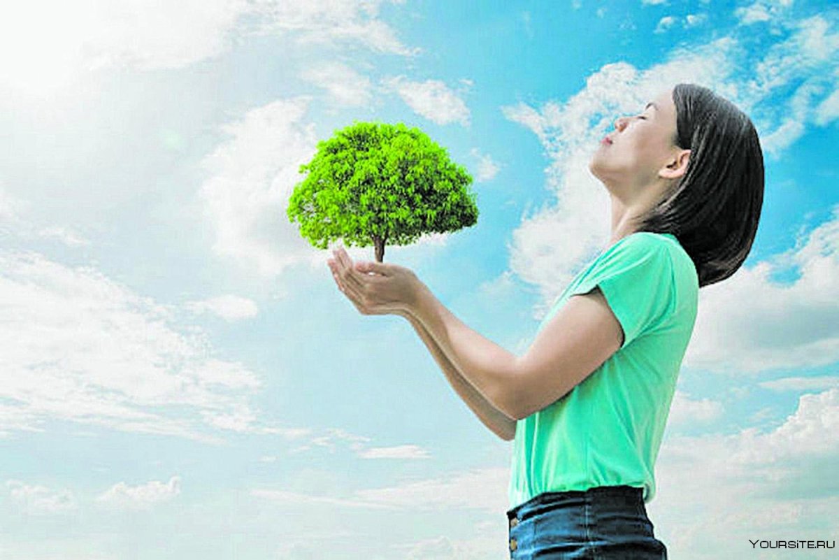 Чистота воздуха