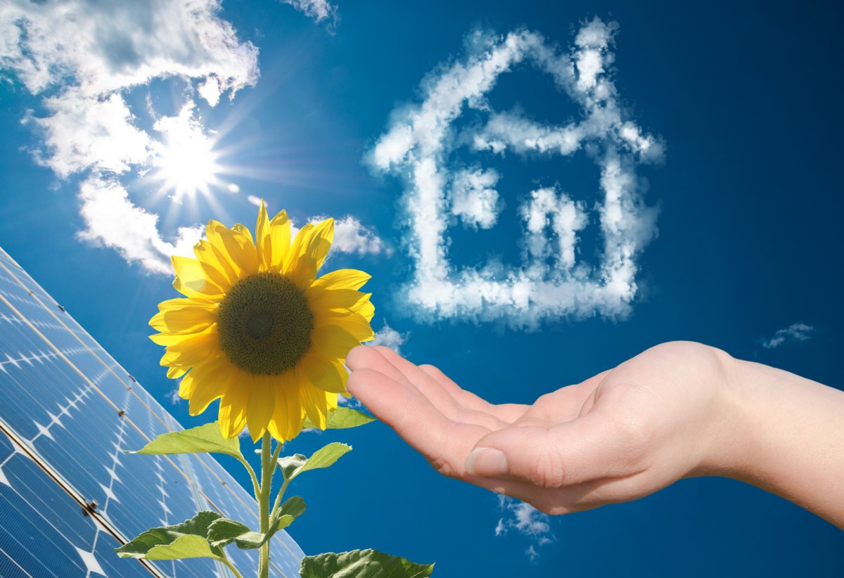 Чистый воздух