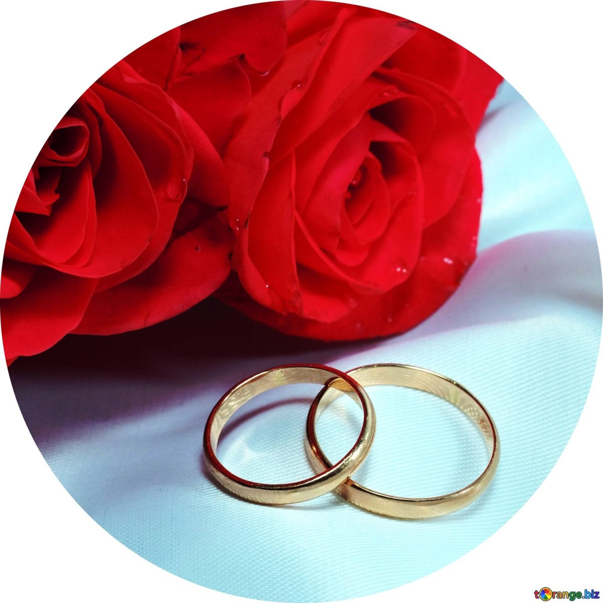 Акварельные обручальные кольца