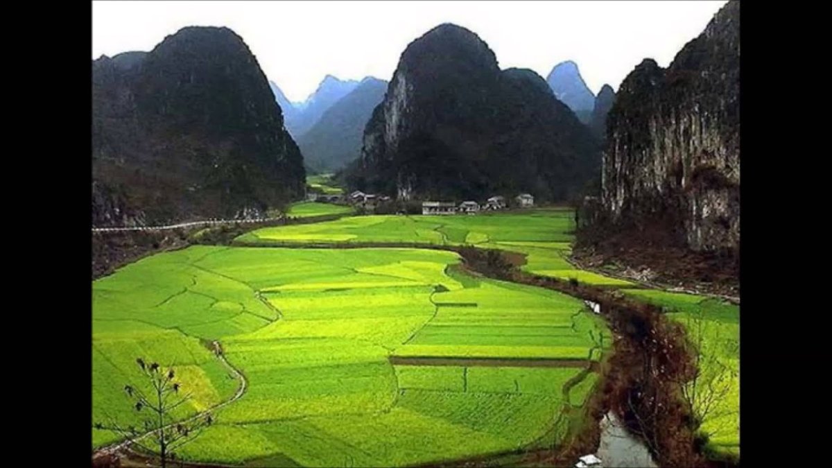 Природа Китая информация