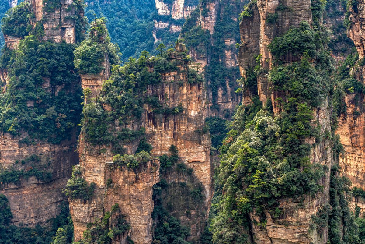 Национальный Лесной парк Жангжиажие (Zhangjiajie), Китай