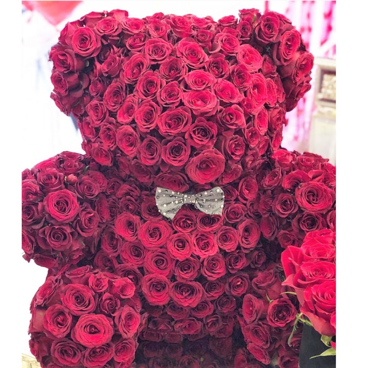 Роза эшропшел ред