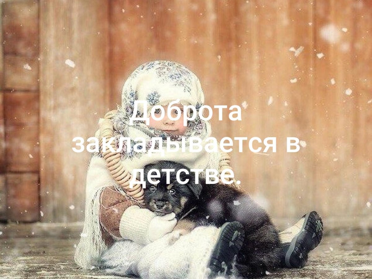 Доброта новый год