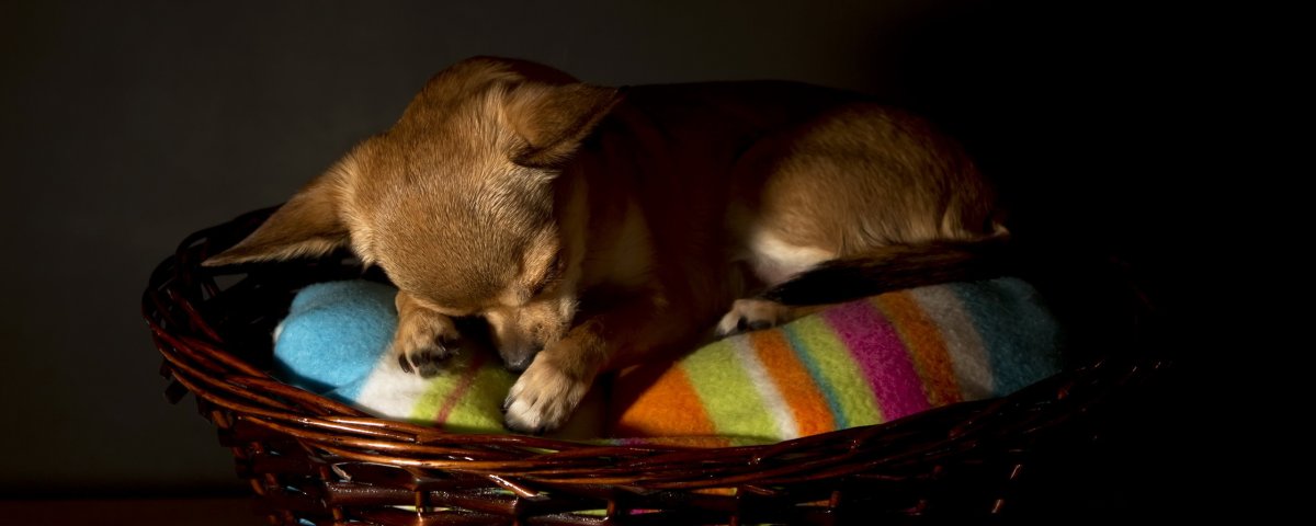 Пожелания спокойной ночи