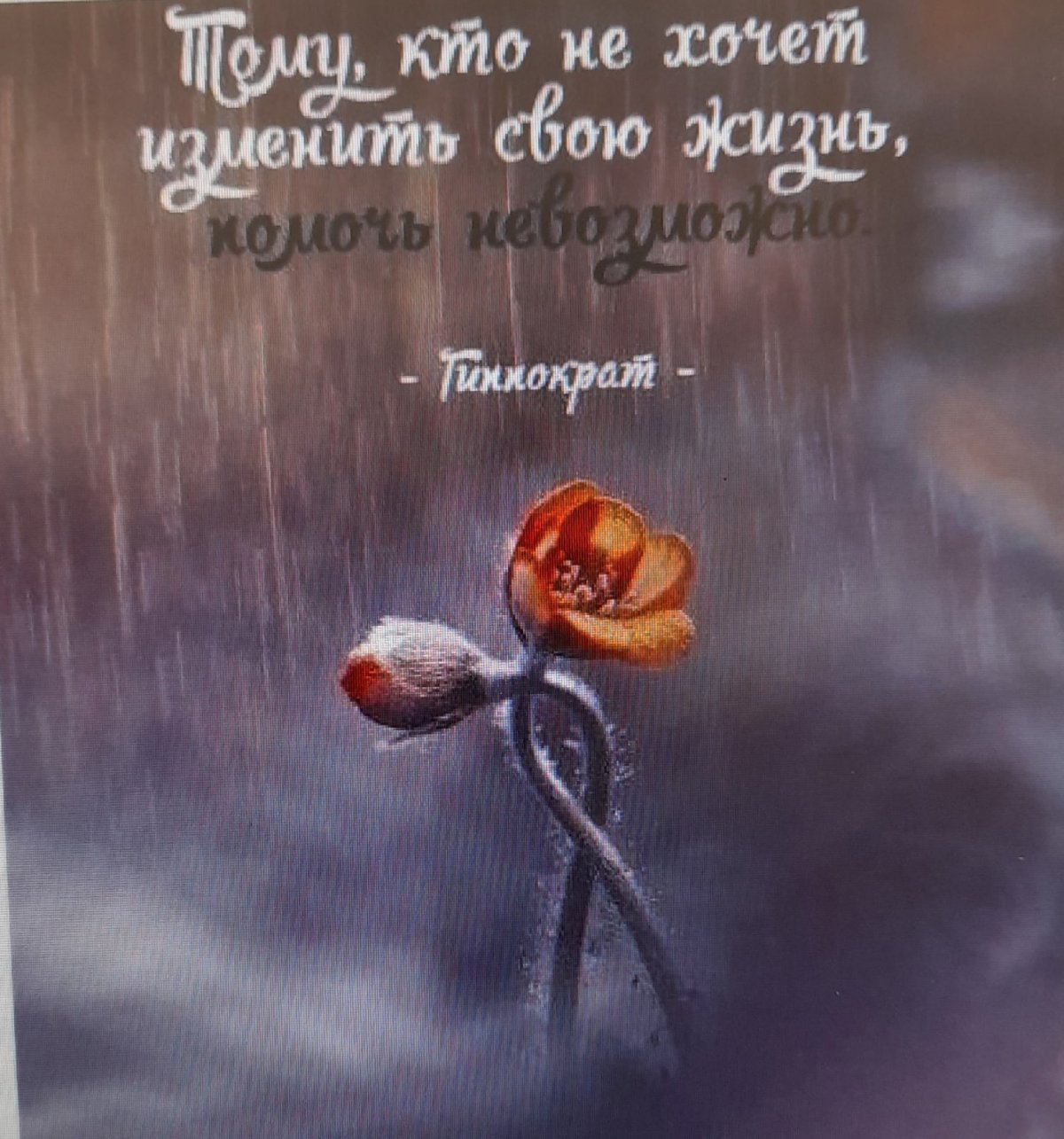 Цитаты про море