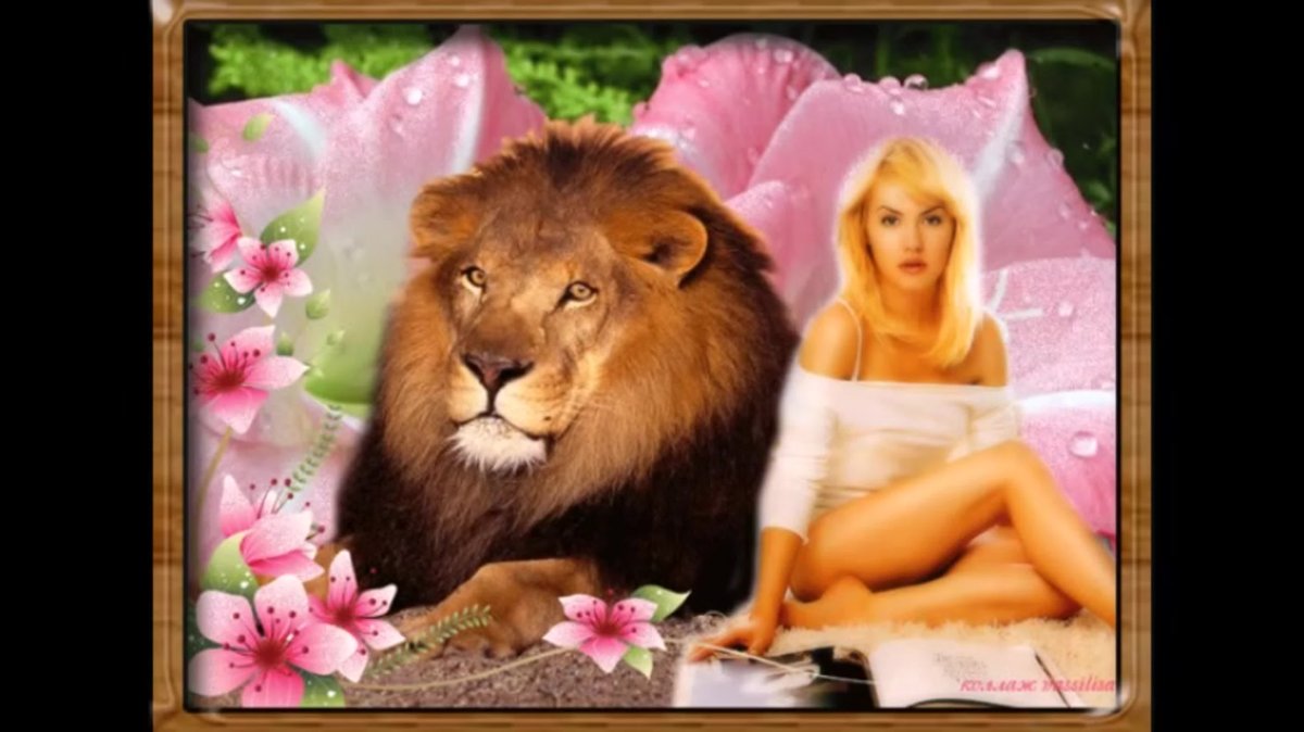 Доброго дня львица