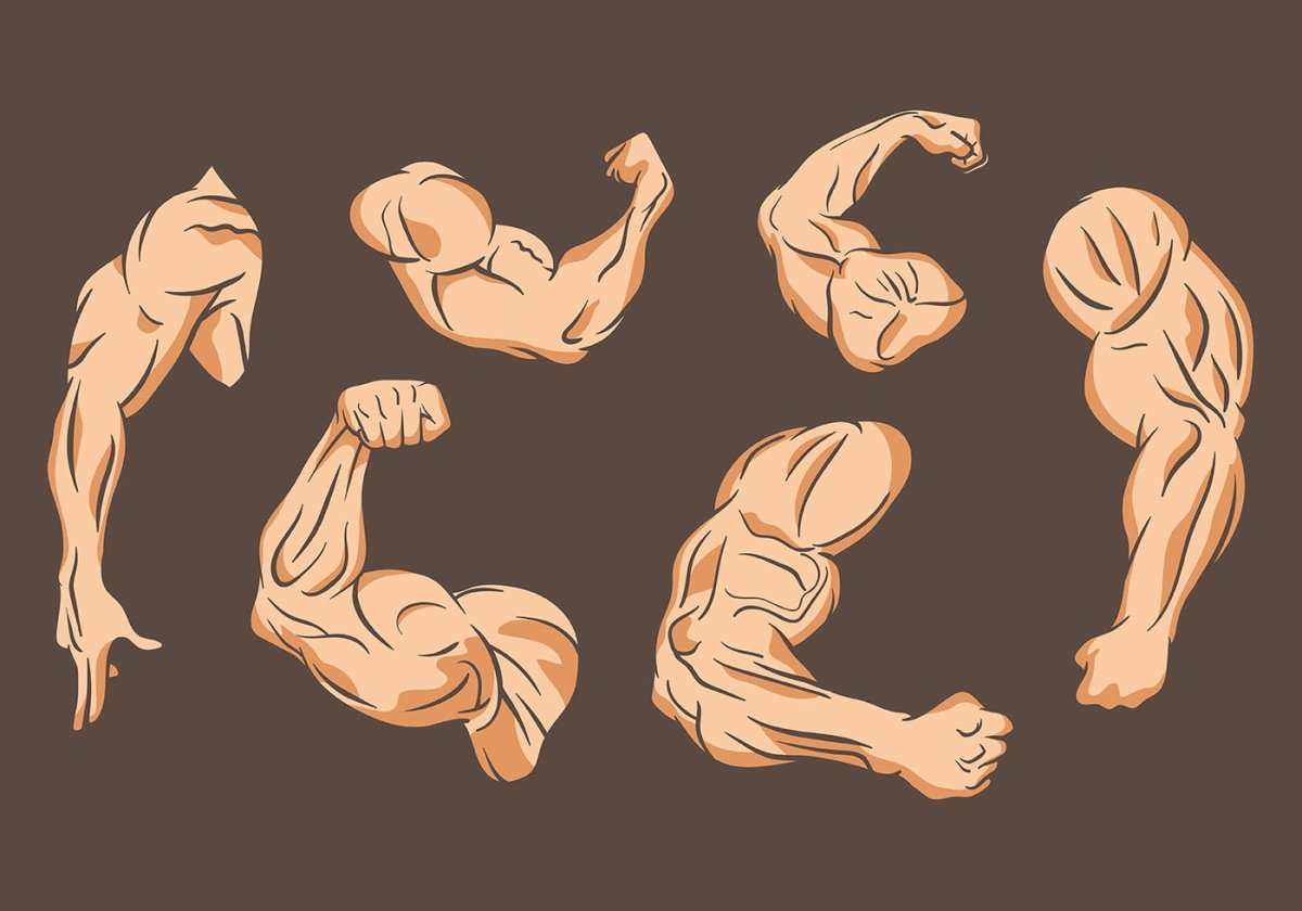 Мускулистая рука вектор