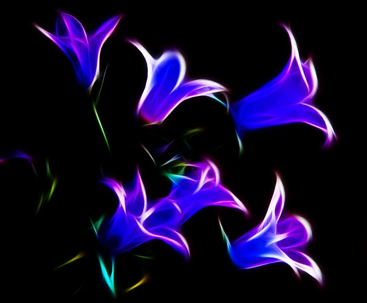 Неоновые цветы