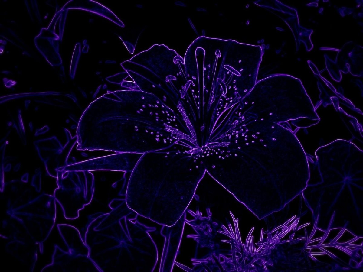 Красивые темные обои