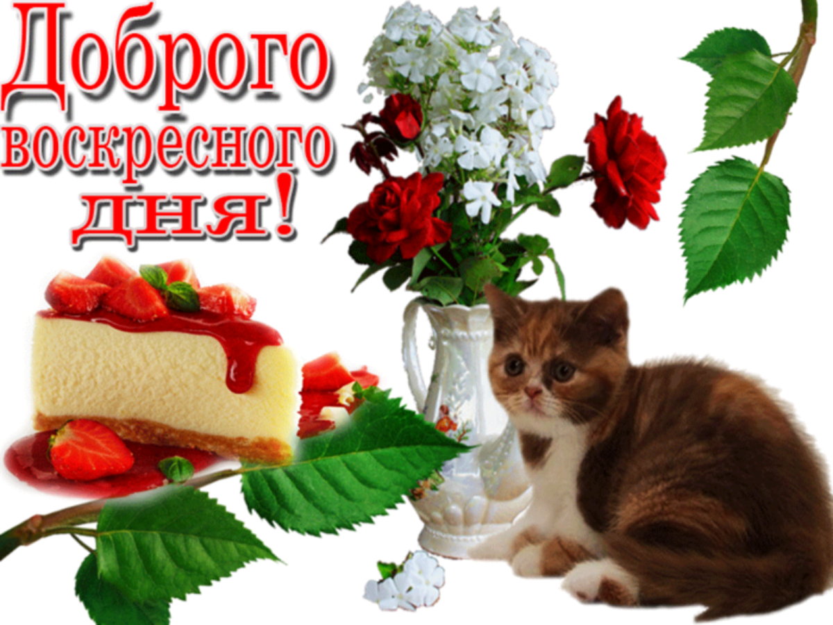 Поздравления с воскресным днем
