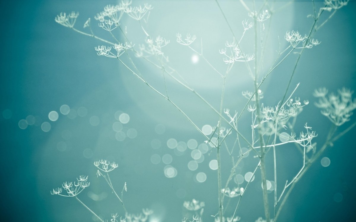 Нейтральный фон