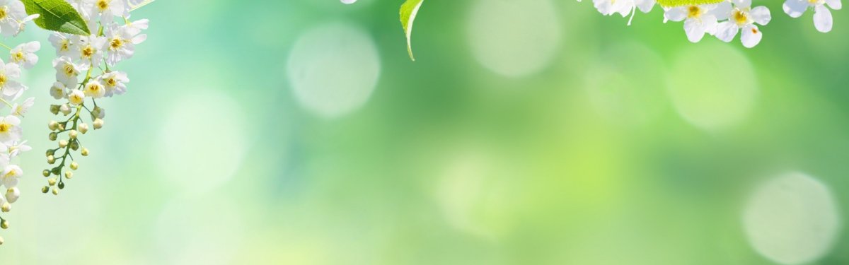 Весенний баннер