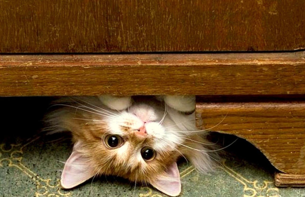 Открытки привет