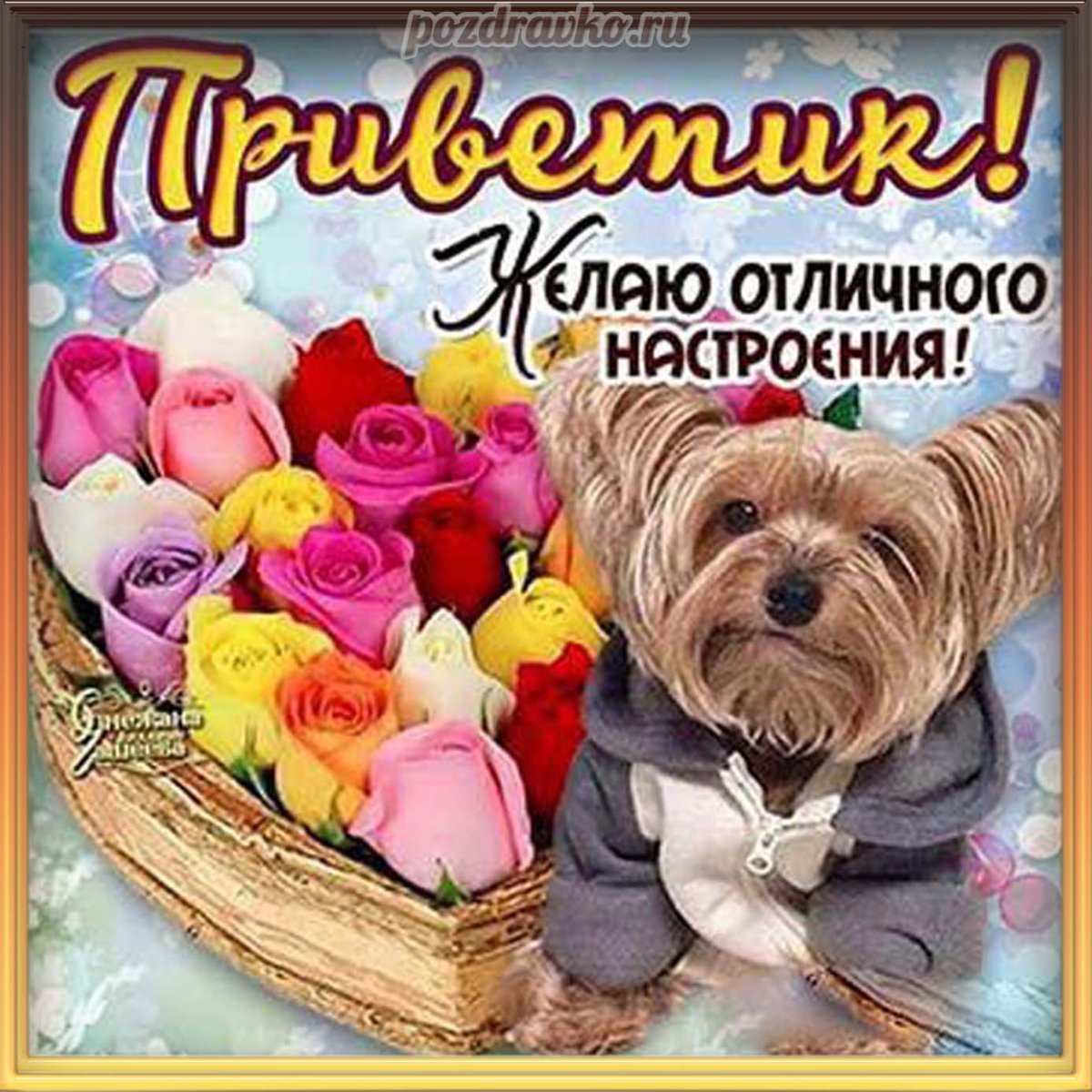 Май надпись