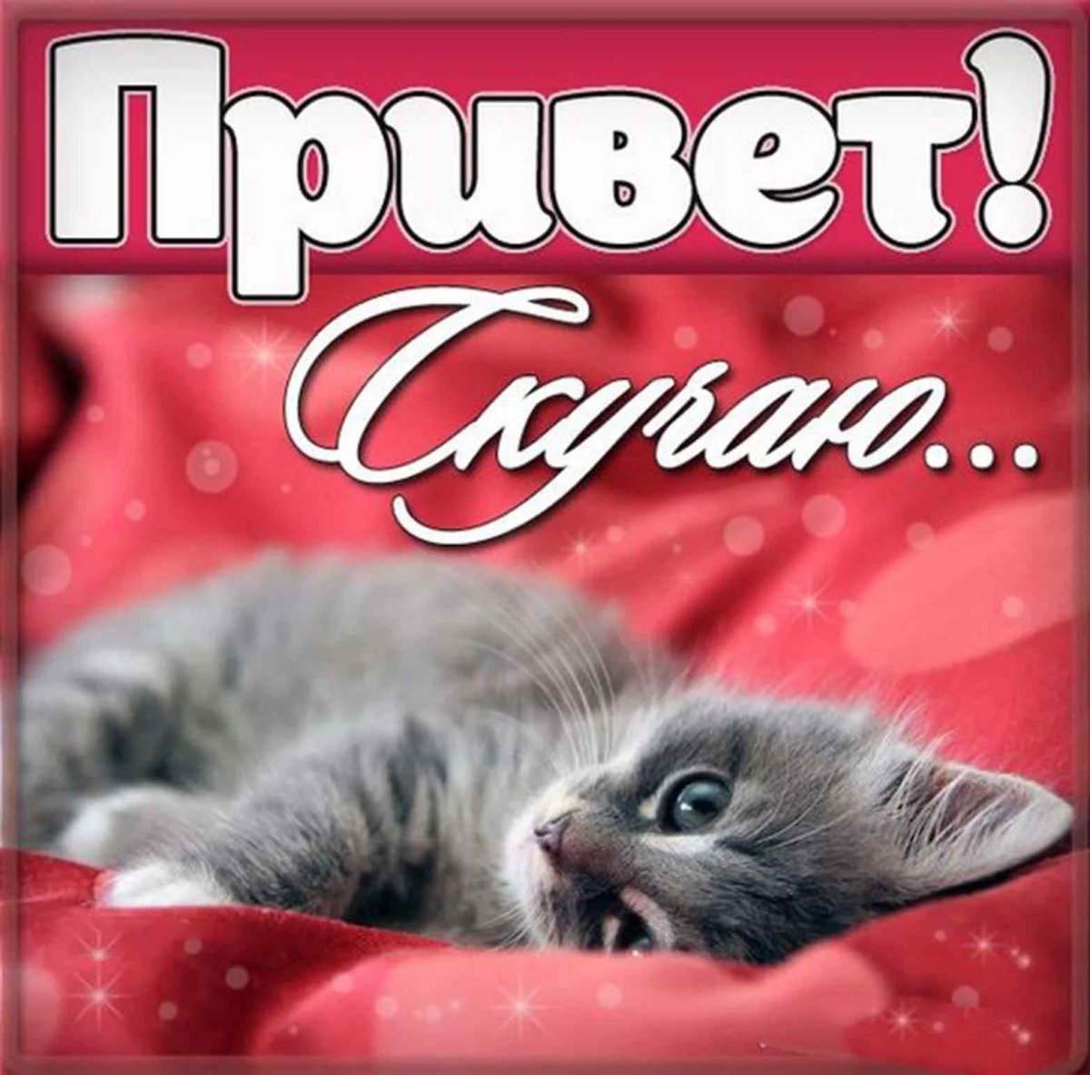 Милая открытка