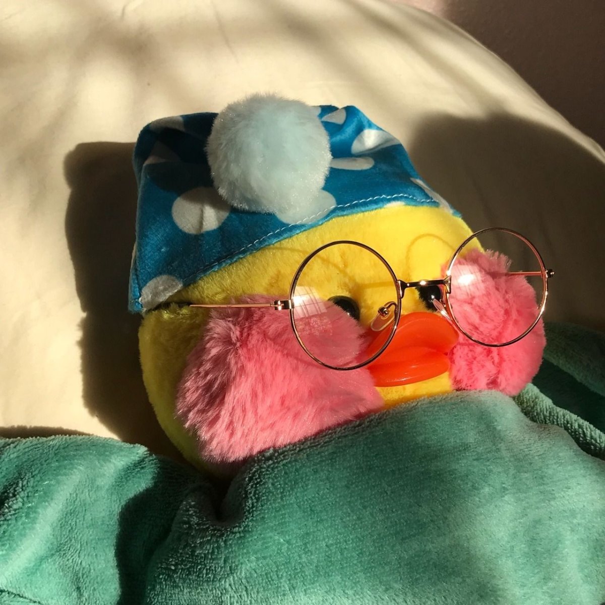 Утка в очках