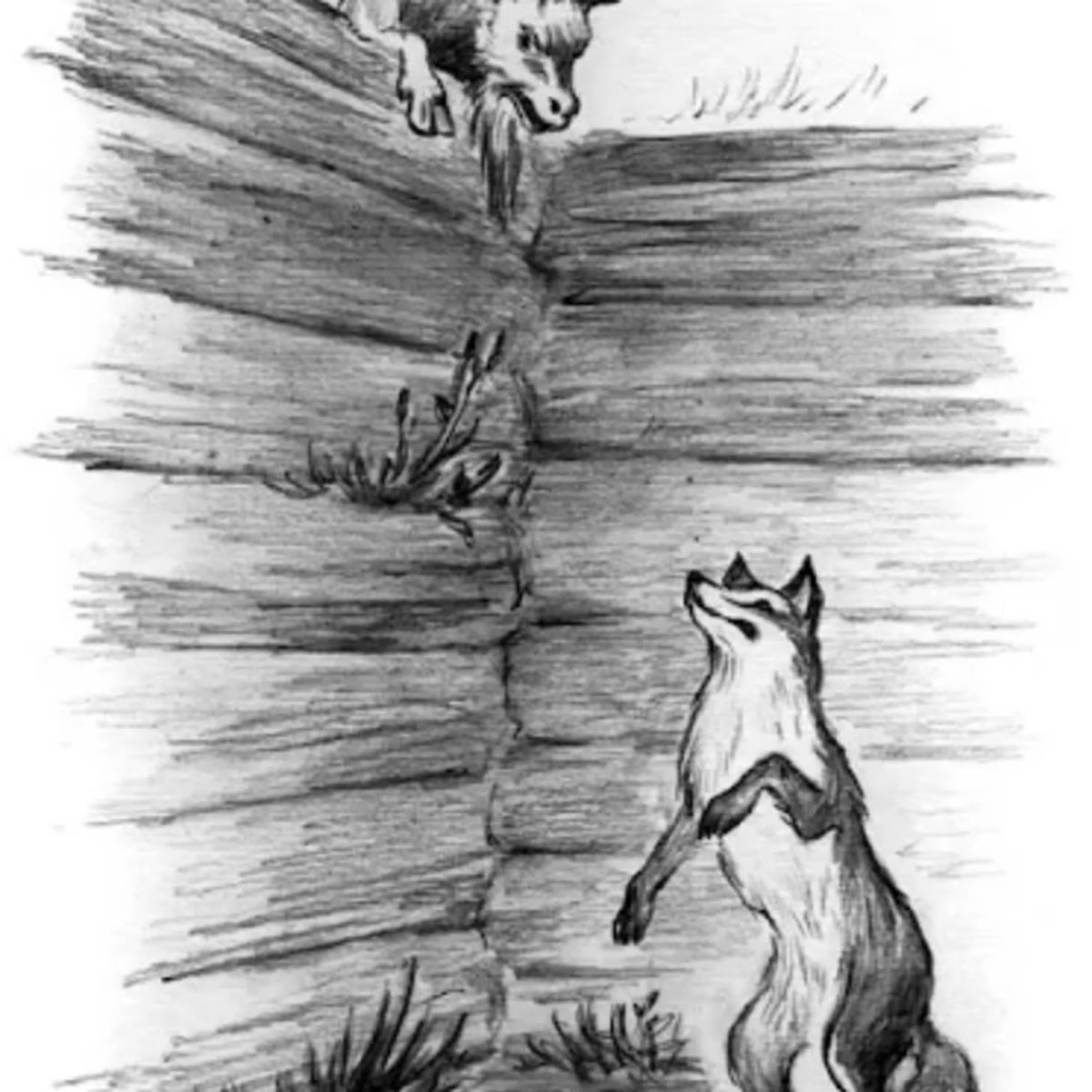 Лис в курятнике игра