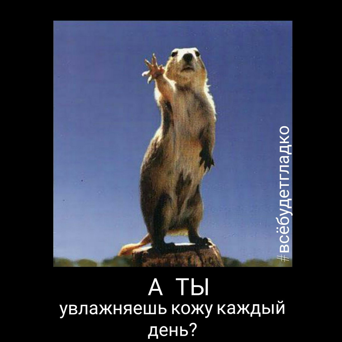 Удивленный суслик