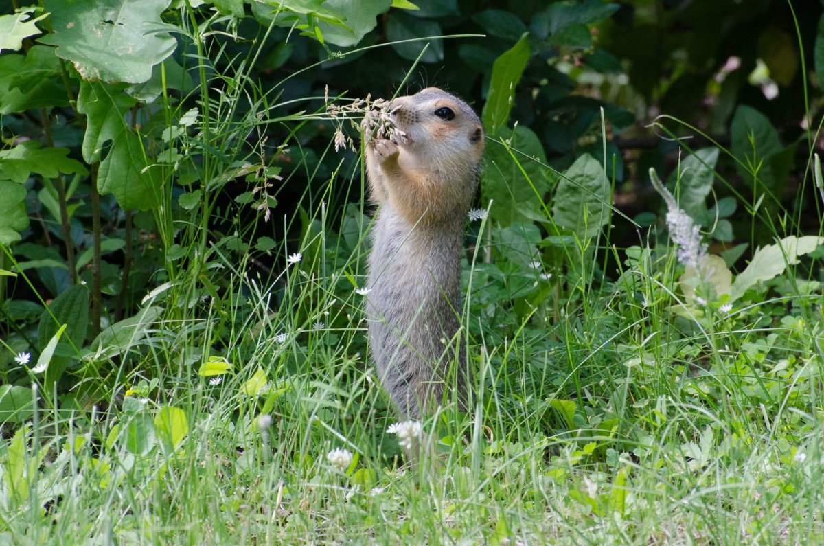 Картинки для поднятия настроения