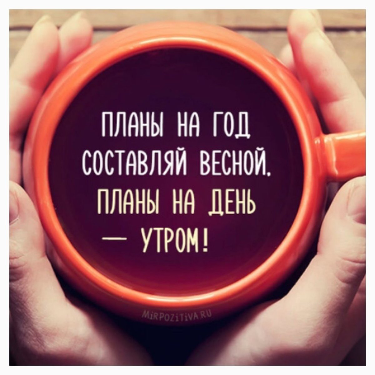 Цитаты на каждый день