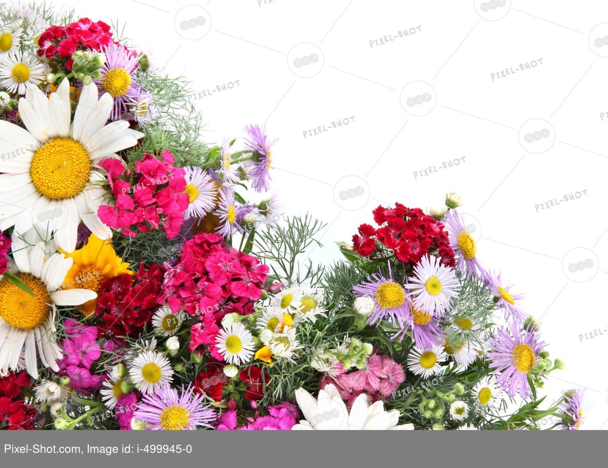 Поздравление со средой и добрым утром