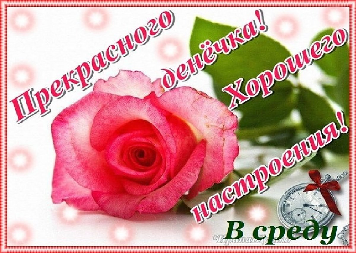 Красивые пожелания с добрым утром среда