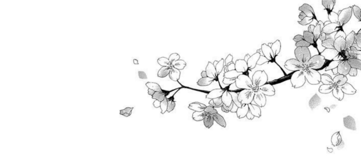 Сакура черно белая