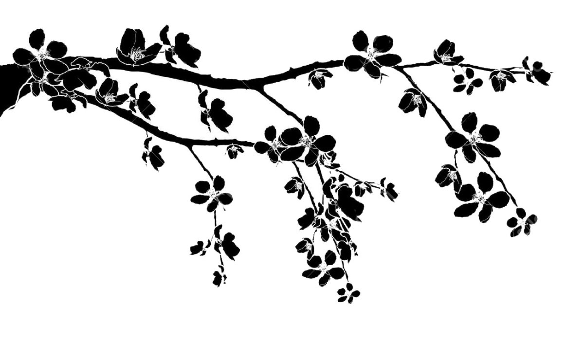 Ветка Сакуры силуэт