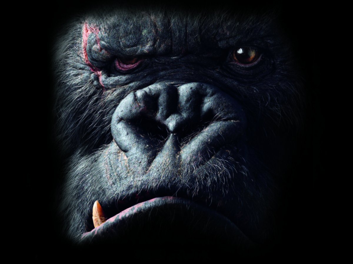 Вторник я тоже ненавижу