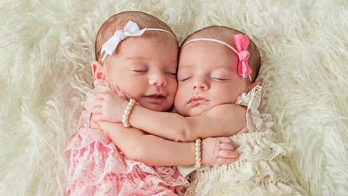 Фотосессия новорожденных двойняшек