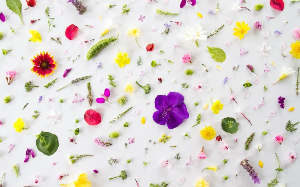 Обои с яркими цветами